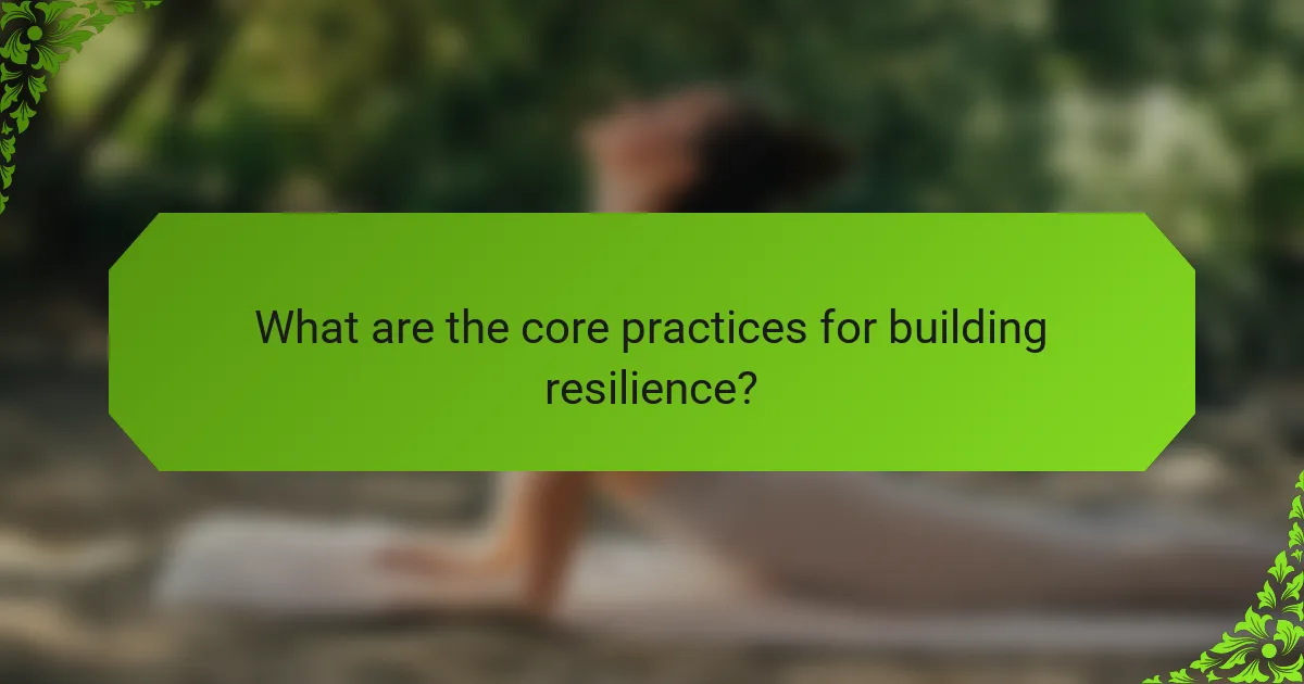 What are the core practices for building resilience?