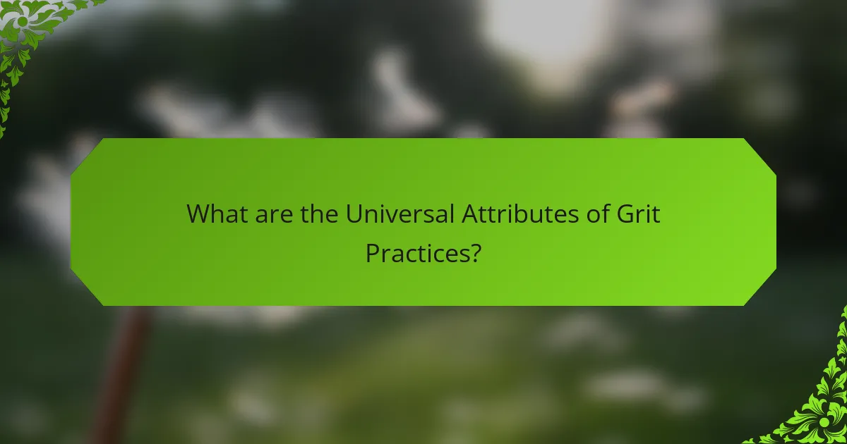 What are the Universal Attributes of Grit Practices?