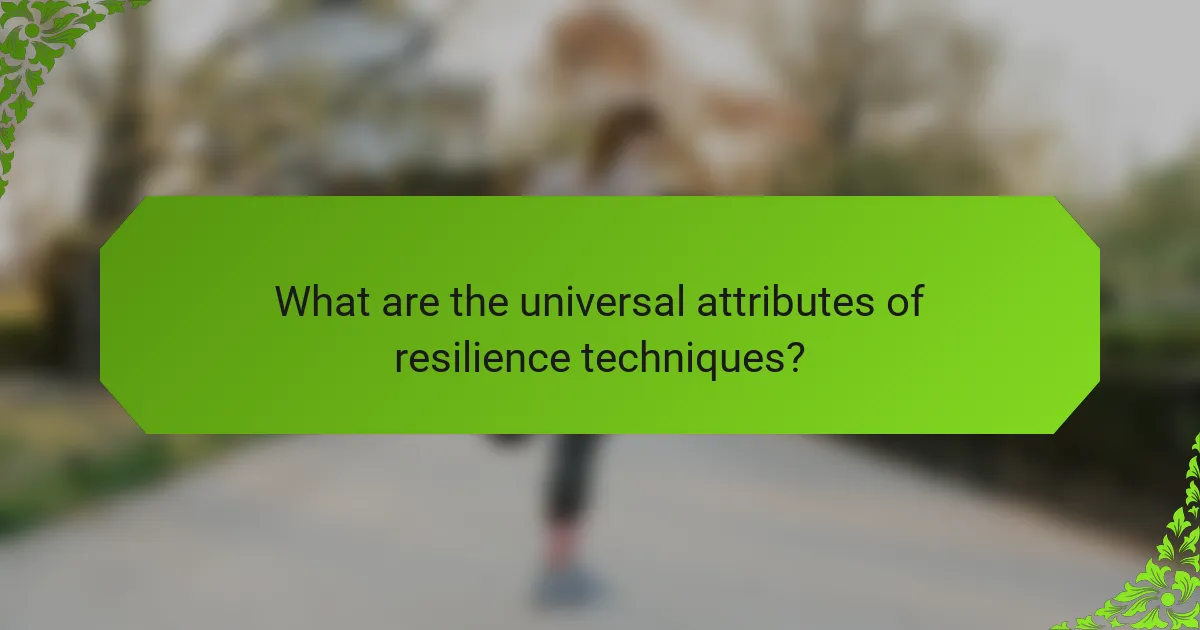 What are the universal attributes of resilience techniques?
