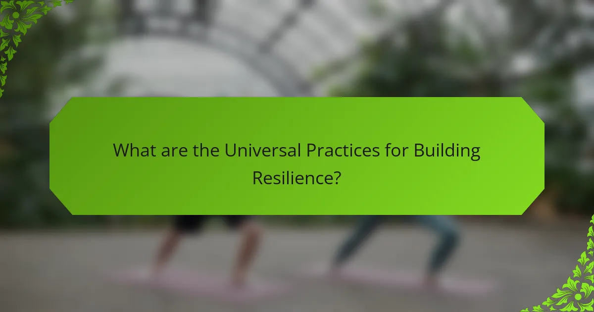 What are the Universal Practices for Building Resilience?